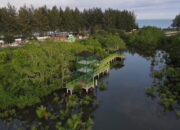 Lama Terbengkalai Akibat Konflik BUMdes dan Pemuda, Wisata Hutan Mangrove Desa Apar Bakal Kembali Ditata
