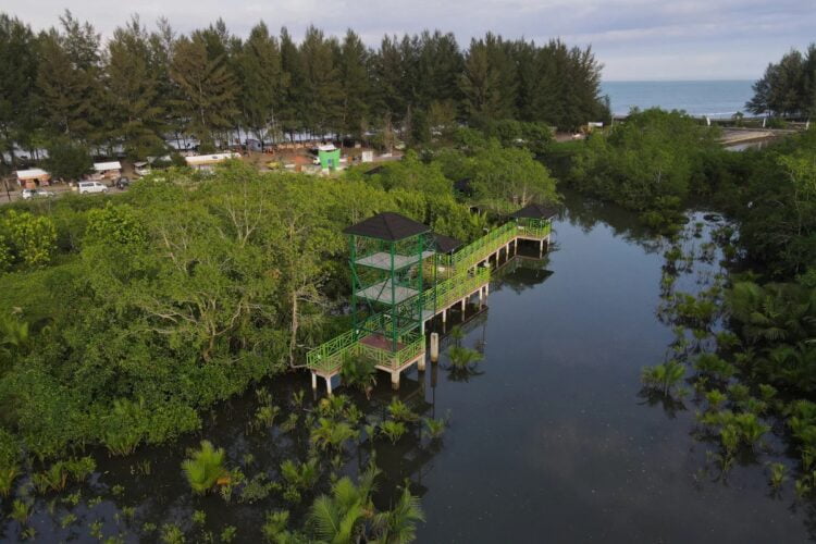 Penampakan kawasan Apar Mangrove Park di Desa Wisata Apar, Kecamatan Pariaman Utara, Kota Pariaman. Kawasan ini sempat lama terbengkalai akibat adanya konflik antara BUMDes selaku pengelola dengan pemuda setempat perihal pemungutan karcis masuk. IST
