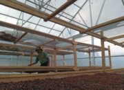 Rumah Produksi Kopi Kayu Aro, Menata Ekonomi untuk Petani Kopi yang Sejahtera