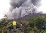 Saat Petugas Evakuasi Korban, Gunug Marapi Kembali Muntahkan Awan Panas