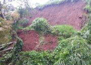 Akibat Hujan Tinggi, Jalan Utama Bukittinggi-Batusangkar Tertimbun Longsor
