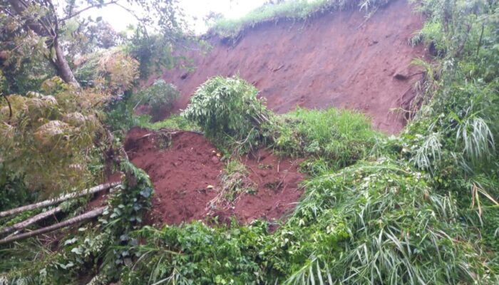Akibat Hujan Tinggi, Jalan Utama Bukittinggi-Batusangkar Tertimbun Longsor