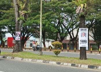 Langgar Aturan KPU, Timses  Caleg-Capres Mulai Paku Pohon Pelindung di Kota Padang