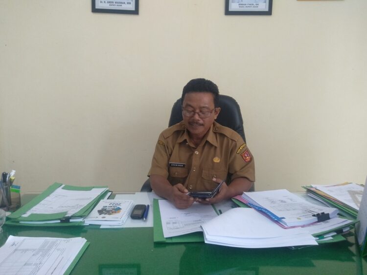 Kepala Dinas Pertanian Agam, Afniwirman saat ditemui di kantornya, beberapa waktu yang lalu. Peri