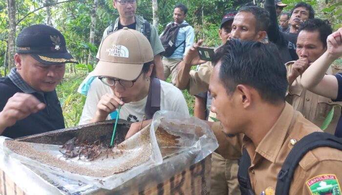 WNA Asal Jepang Berbagi Ilmu Bertani dengan Masyarakat Nagari Sungai Abu