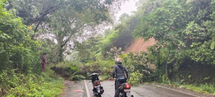 Pengendara sepeda motor terhalang longsor yang terjadi di jalan provinsi yang menghubungkan Kabupaten Agam dan Tanah Datar di Kenagarian Tanjung Alam, Rabu (27/12). REZKY