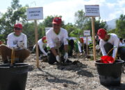 Insan Semen Padang Tanam 2000 Batang Kaliandra Merah