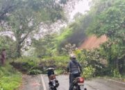 Tingkat Hunian Homestay di Tanah Datar Menurun