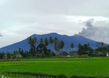 Marapi Naik ke Level Siaga, Forkopimca X Koto Imbau Masyarakat Jangan Cemas
