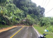 Jalan Nasional Sumbar-Riau Kembali Ditimbun Longsor