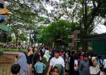 Selama 2023, Dua Objek Wisata di Bukittinggi Sumbang PAD Rp22 Miliar Lebih