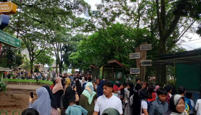 Selama 2023, Dua Objek Wisata di Bukittinggi Sumbang PAD Rp22 Miliar Lebih