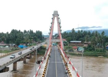 Jalinsum Kabupaten Dharmasraya Rusak Parah