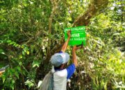 Sumbar di Tengah Ancaman Bencana Ekologis, Memulihkan Kawasan Hutan Harga Mati