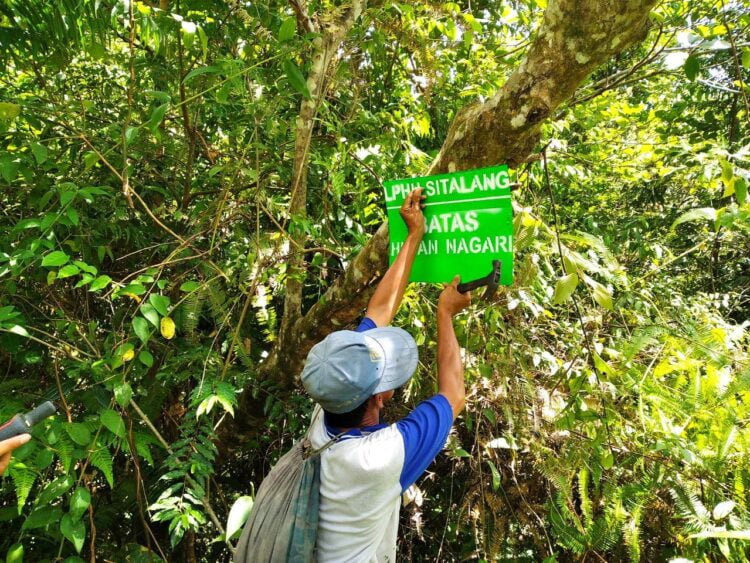 Sepanjang 2023, Sumatera Barat (Sumbar) kerap diterjang oleh bencana ekologis yang menimbulkan kerugian yang cukup signifikan. Selain dampak dari krisis iklim, bencana banjir dan longsor juga dipicu oleh penurunan daya serap air yang cenderung menurun di Sumbar. IST