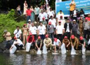Semen Padang Sebar 3000 Ikan Bilih Hasil Konservasi dan Resmikan Reservat di Danau Singkarak