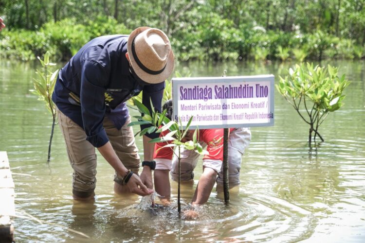 Menparekraf RI, Sandiaga Uno menanam bakau saat kunjungan dalam rangka penilaian ADWI ke Desa Wisata Apar, Kota Pariaman pada tahun 2021 lalu. Berhasil meraih penghargaan ADWI pada 2021, desa wisata itu kini terancam ditutup lantaran konflik berkepanjangan antara pengelola dan masyarakat setempat. IST