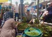 Riza Falepi Dapat Dukungan Penuh Warga Payakumbuh