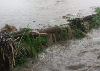 Dua Kecamatan di Kabupaten Solok Diterjang Banjir Bandang