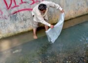 Desa Muaro Kalaban Dapat 5.000 Bibit Ikan