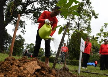 Manajemen dan Karyawan Semen Padang Lakukan SERO di Area Konservasi