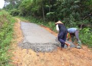 Semen Padang Bantu Betonisasi Jalan Gaduik Ketek Koto Baru, Puluhan Peladang Gelar Syukuran