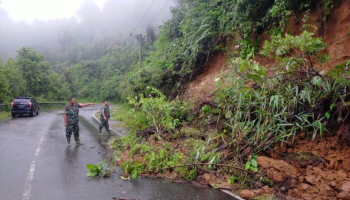 Dampak Hujan Deras, Tanah Longsor dan Jalan Amblas Dera Malalak