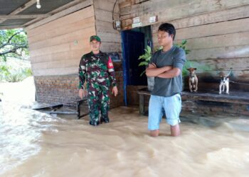 Sungai Batang Sapan Meluap, 50 Unit Rumah Terendam Banjir