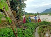 Kerap Banjir di Batang Suliti, Nagari Pakan Rabaa Tengah Harap Segera Ada Normalisasi