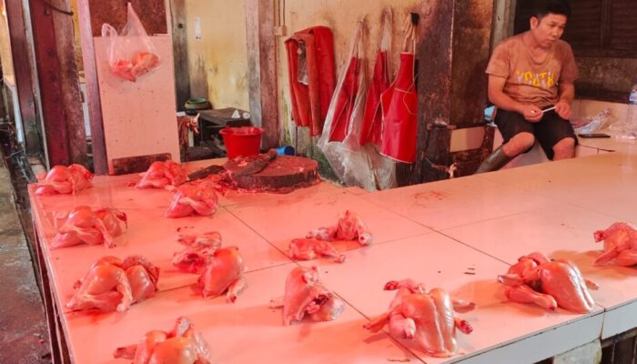 Harga Ayam Potong Naik di Pasar Batusangkar