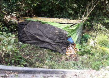 Tak Kuat Nanjak, Satu Unit Truk Masuk Jurang di Pendakian Kodok