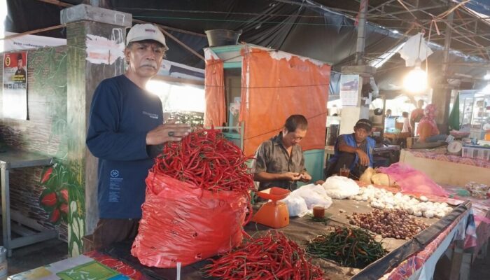 Melejit! Harga Cabai Tembus 140.000 Per Kilogram, Pemko Sawahlunto Bakal Gelar Operasi Pasar