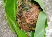 Mengenal Baruik Obat Tradisional Solok