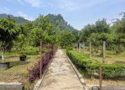 Agrowisata Seilar Balai Benih Sumatera Barat Kini Terbengkalai