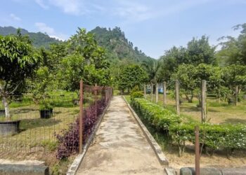 Agrowisata Seilar Balai Benih Sumatera Barat Kini Terbengkalai