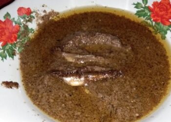 Obat Alternatif di Kabupaten Solok