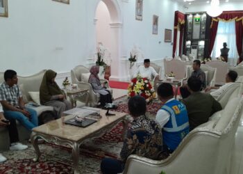 Audiensi dengan Gubernur, PLN Paparkan Kesiapan Pasokan Listrik Sumbar Saat Ramadan dan Idulfitri