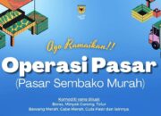 Tanah Datar Gelar Pasar Murah, Harga Cabai Hanya Rp 60 Ribu per Kilogram