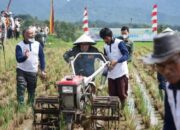 Tanah Datar Gencarkan Program Asuransi Lahan Sawah