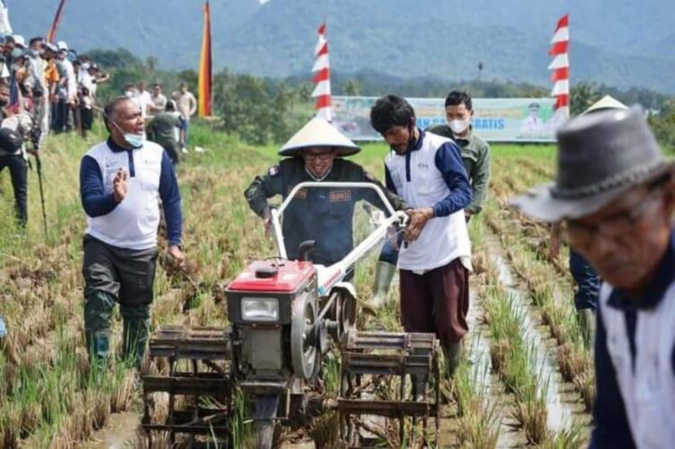 Pemkab Tanah Datar menargetkan 2.500 hektare sawah mendapatkan asuransi lahan pada 2024. IST