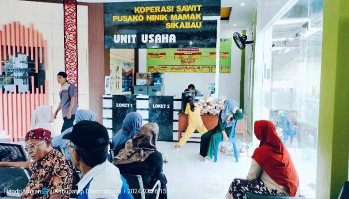 KS-PNM Nagari Sikabau Bagikan Hasil Kebun Plasma Pada Masyarakat dalam Bentuk Uang Tunai dan Bahan Pangan