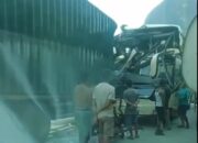 Bus Sembodo Laga Kambing dengan Truk Kontainer di Jalinsum