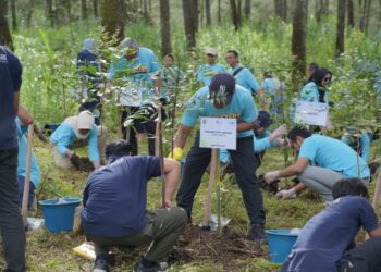 Rayakan HUT ke-18, Finnet Lakukan Program Penanaman Pohon di Cikole