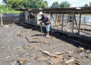 Pemilik Kolam Pancing Rugi Puluhan Juta, Akibat Banjir Lahar Dingin Gunung Marapi