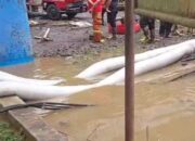 Akses Jalan Nasional Padang Panjang ke Bukittinggi Terendam Banjir Lahar Dingin