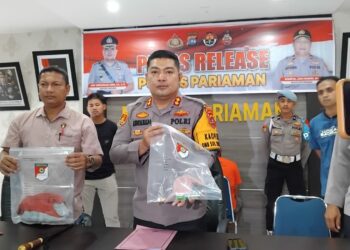 Hantam Perut dan Kepala Korban, Begini Kronologi Supir Truk Aniaya Anak Tiri Hingga Operasi Pengejaran