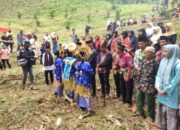 Panen Satu Tahun, Nagari Simanau Gelar Malapeh Kaua