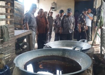 Pasbar Bakal Buat Gula Merah dari Pohon Sawit