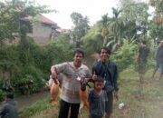 Ratusan Peserta Ikuti Memancing Pemuda Pemudi Lolong Karan Sungai Sapih