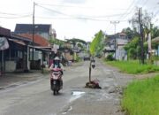 Impian Warga Simpang Piladang Kandas, Jalan Batusangkar-Bukittinggi Tender Habis Lebaran